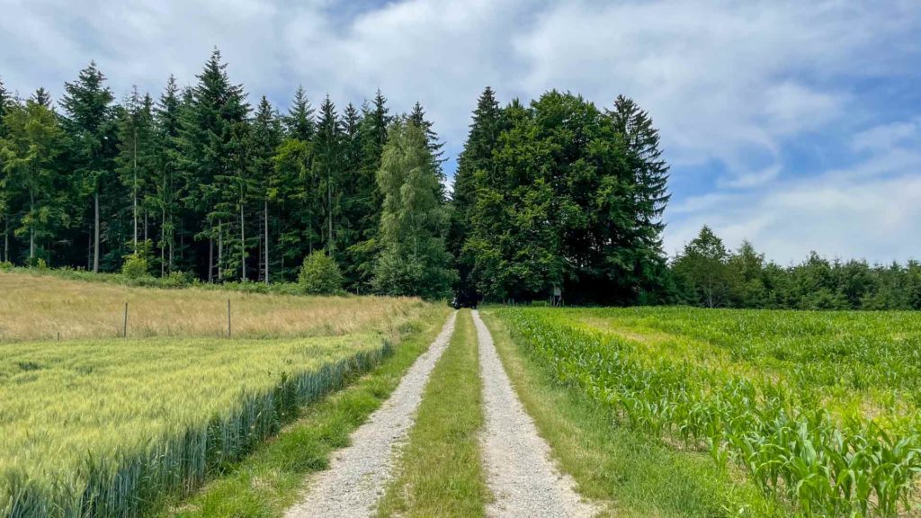 Pfaffenhofener Muehle Owingen Ausflugsziel Lyrikweg Owingen