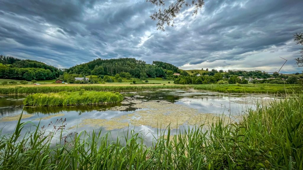 Pfaffenhofener Muehle Owingen Ausflugsziel Sielmann Weiher 001