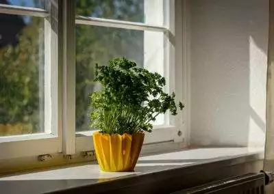 Pfaffenhofener Muehle Owingen Wohnung 1 2 011